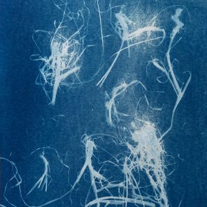 Routes-and-Roots-Ishita