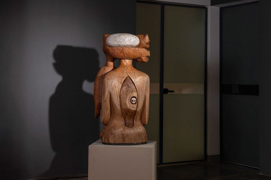 Installation shoots of Rooted Spine by Karl Antao