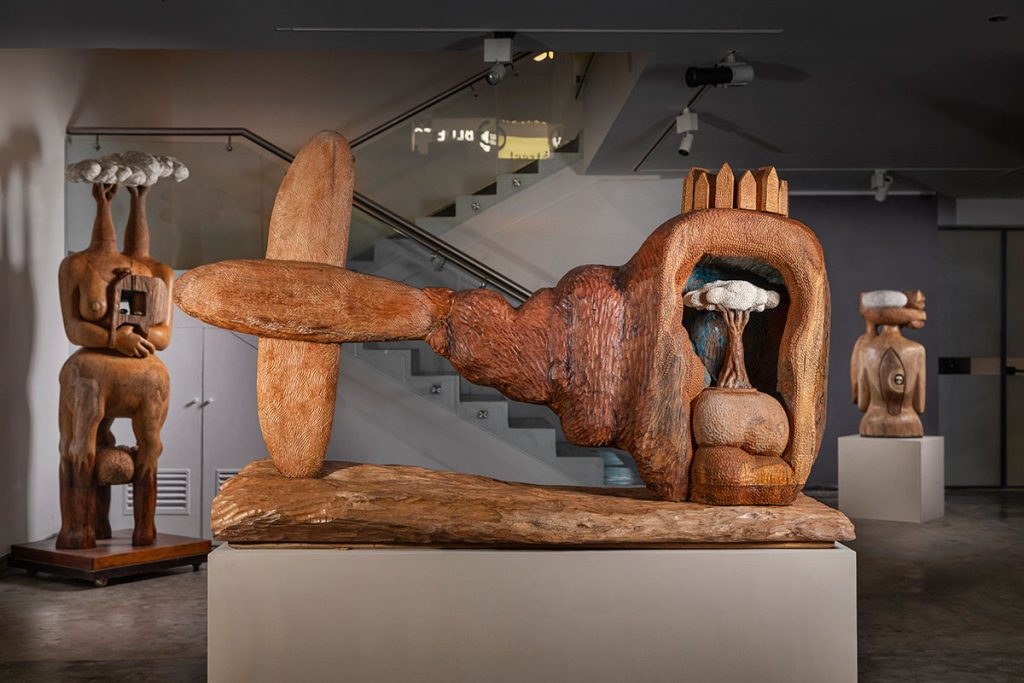 Installation shoots of Rooted Spine by Karl Antao