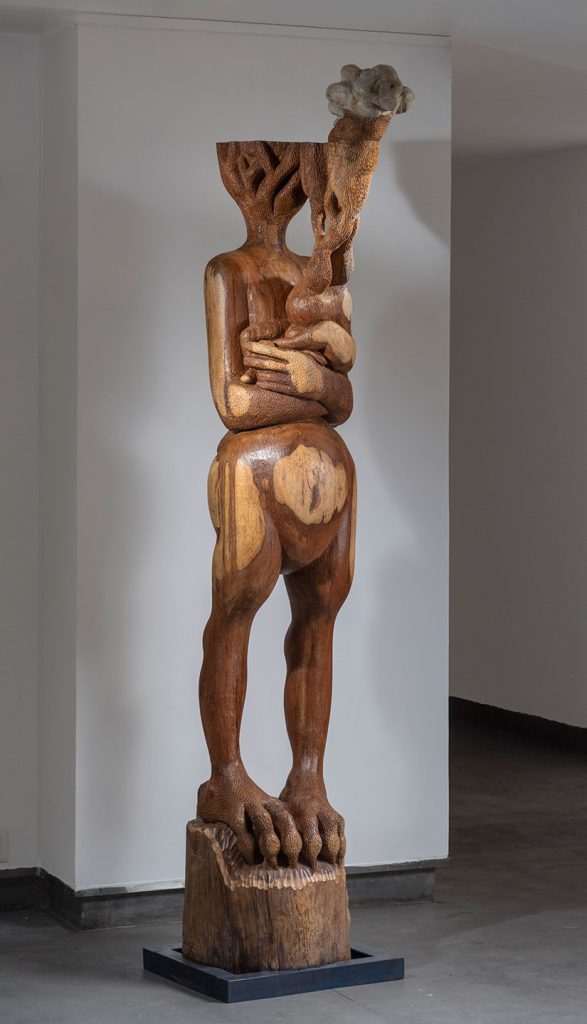 Installation shoots of Rooted Spine by Karl Antao