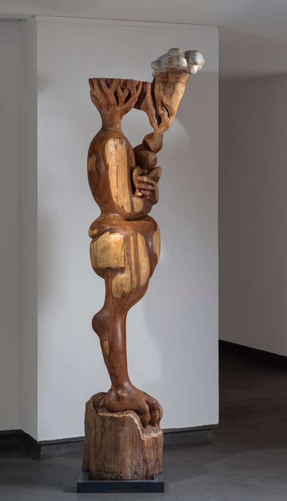 Installation shoots of Rooted Spine by Karl Antao