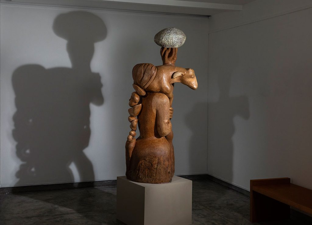 Installation shoots of Rooted Spine by Karl Antao