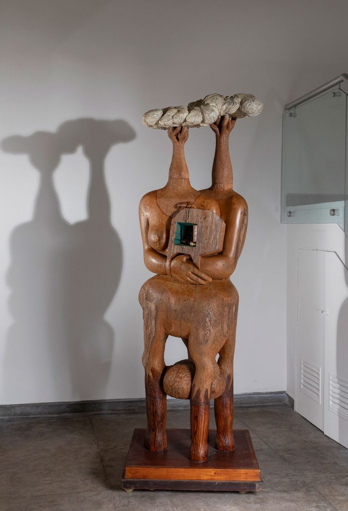 Installation shoots of Rooted Spine by Karl Antao