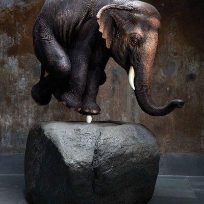 Sunil-Gawde-Elephant-on-Egg