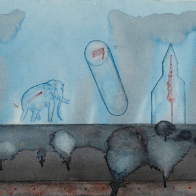 Passage-of-the-Elephant-Vasudevan