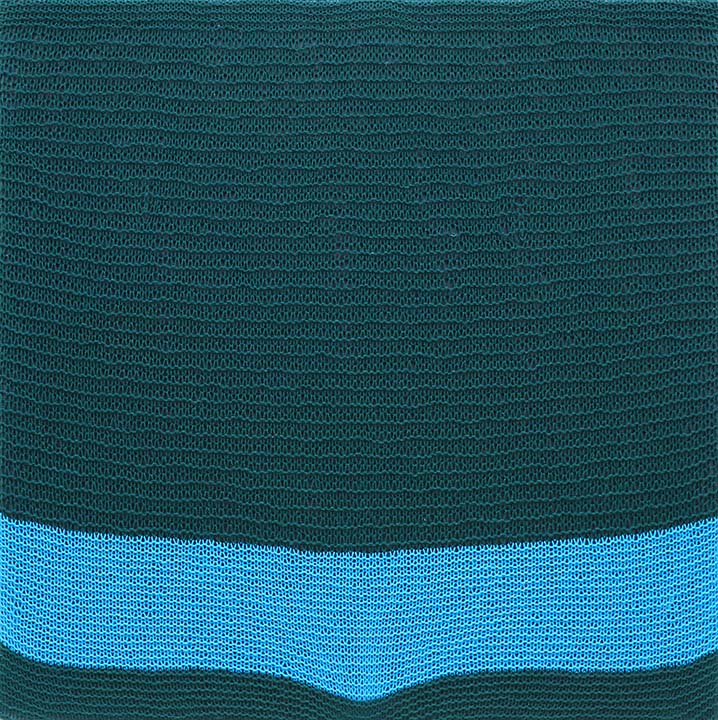 Untitled-Shobha-Broota