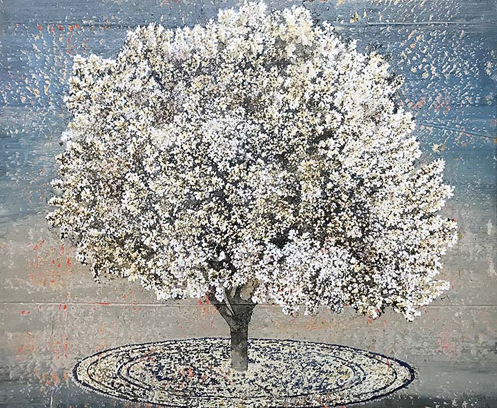 Shadow Become a Carpet-G-R-Iranna