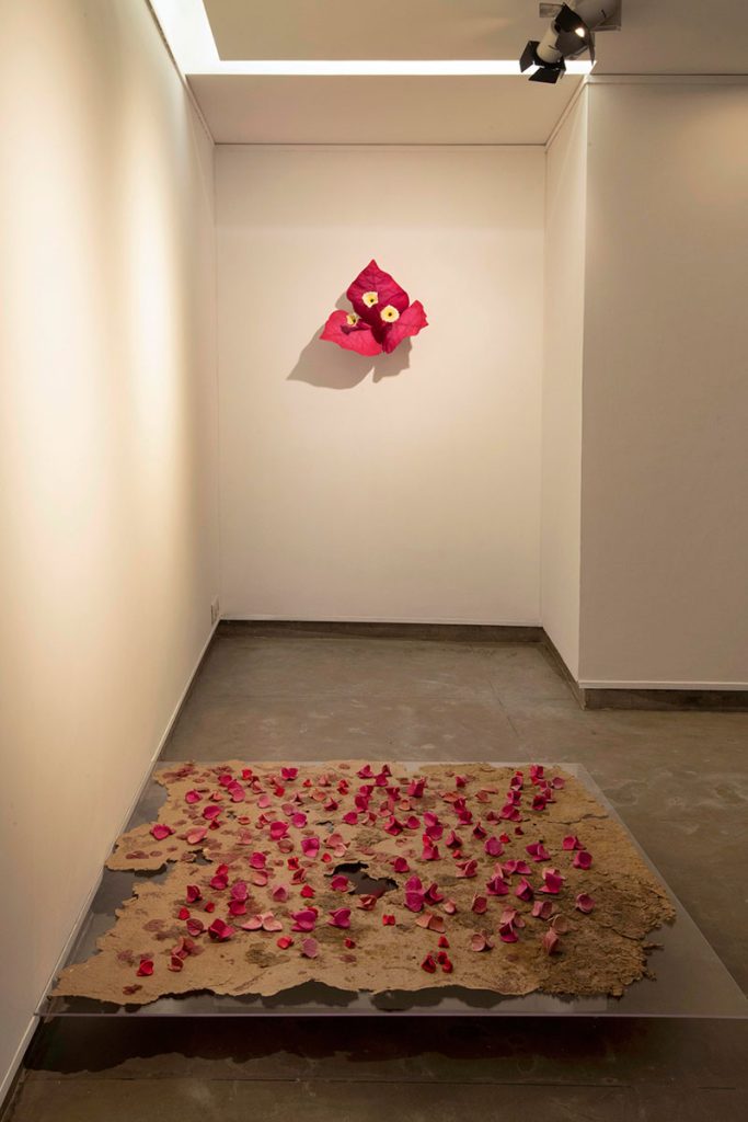 Installation-Shoot-Valay-Gada