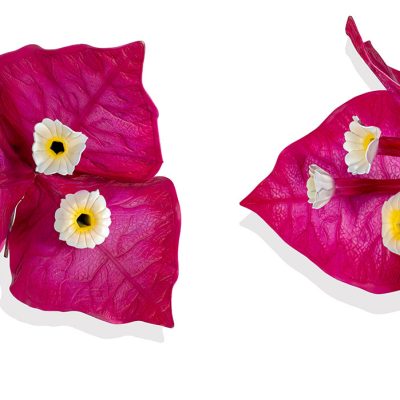 Paper-Dreams-Valay-Gada