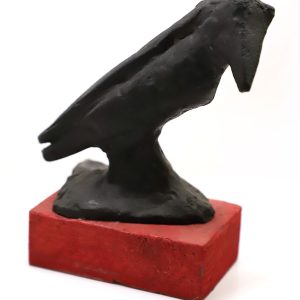 Crow-Amit-Ambalal
