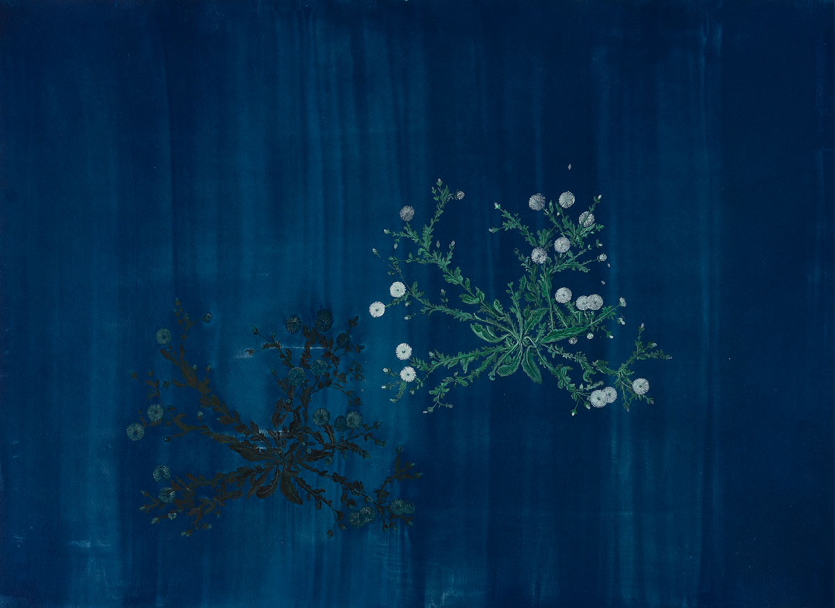 Ground_VI-Ishita-Chakraborty