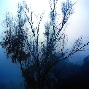 Quietude-I-Ravi-Agarwal