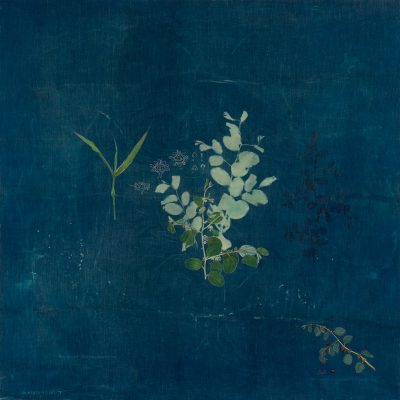 Rudarels-of-Delhi-I_Ziziphus-mauritiana_Ishita-Chakraborty