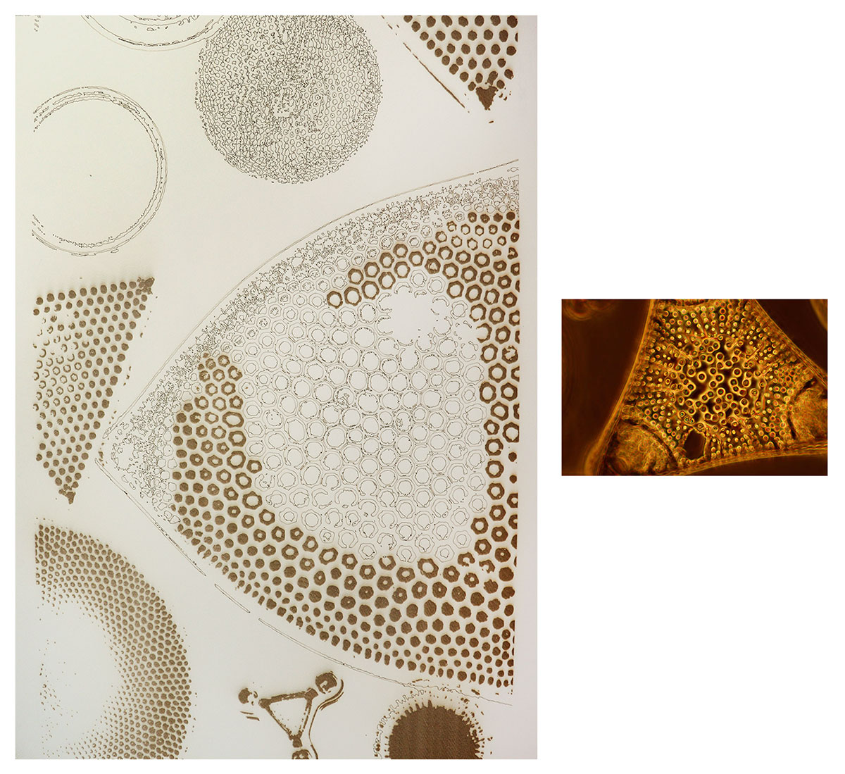 Sonia-mehra-Vital-I-Sonia-Mehra