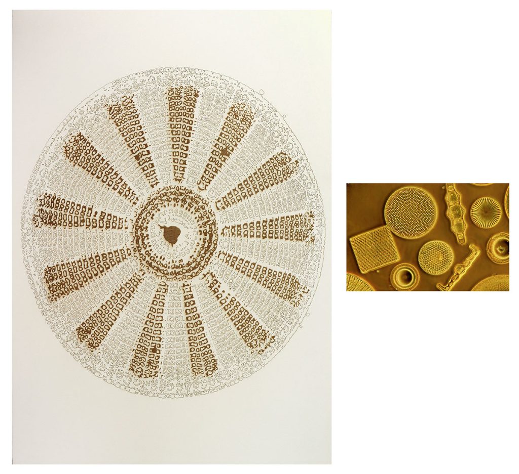 Sonia-mehra-vital-III-Sonia-Mehra