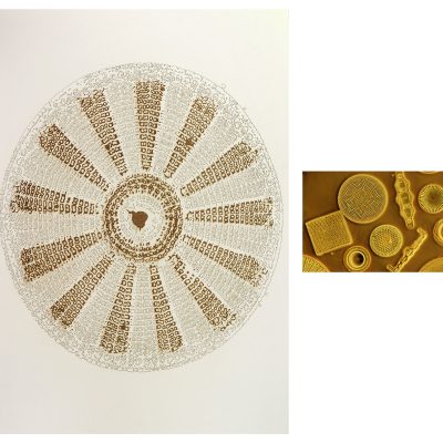 Sonia-mehra-vital-III-Sonia-Mehra