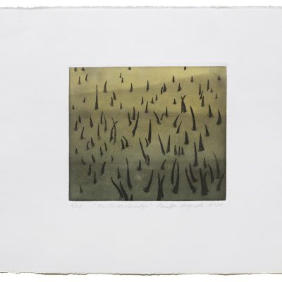 The-Tide-Country-Paula-Sengupta