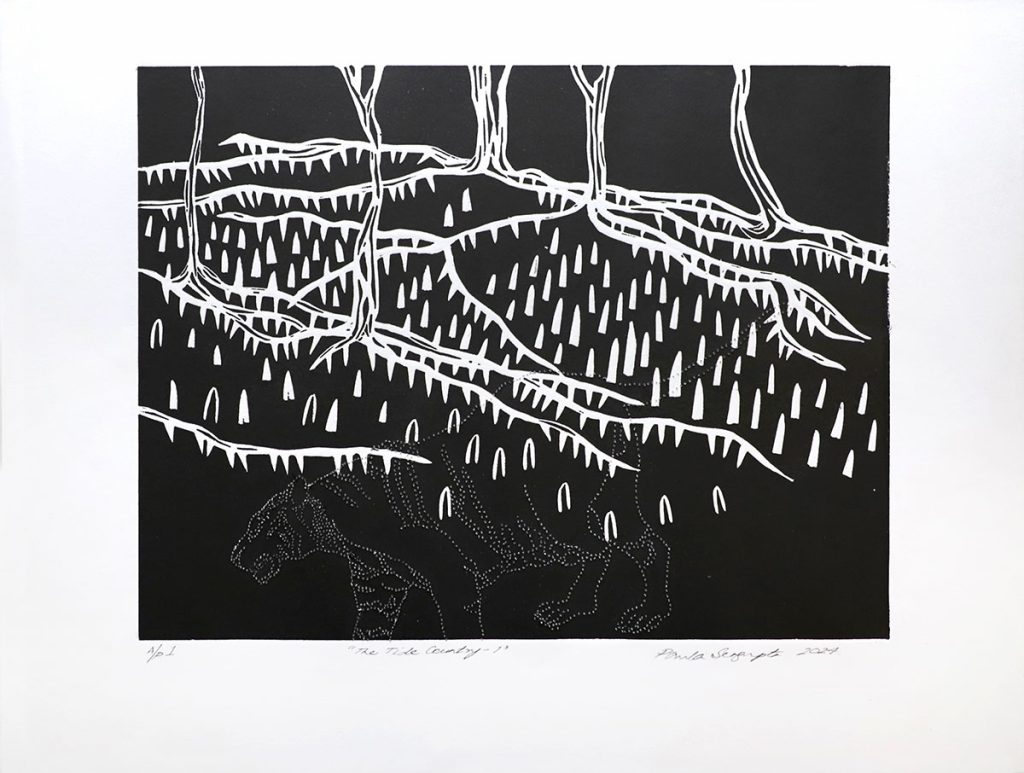 The-Tide-Country-I-Paula Sengupta