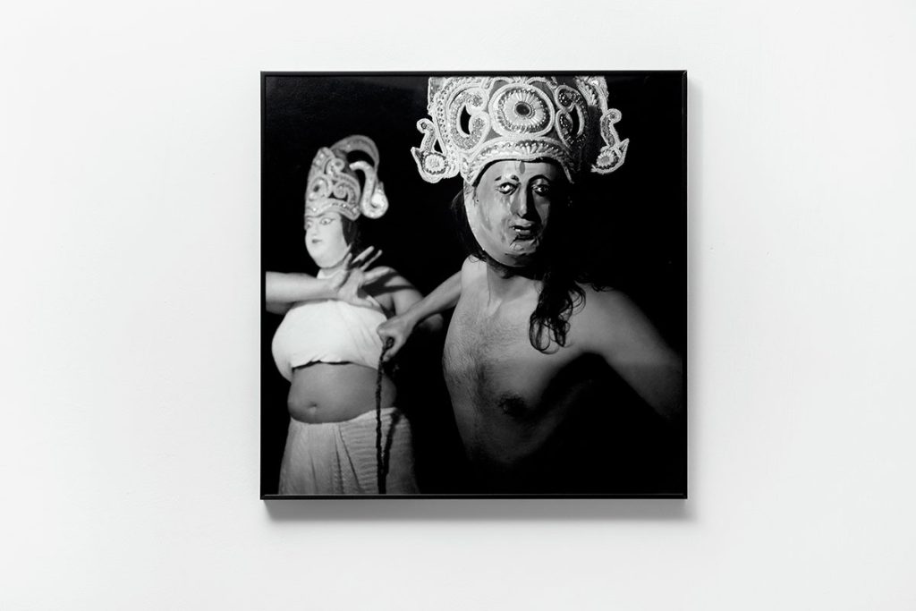 Installation shoots of Ancestral Futures