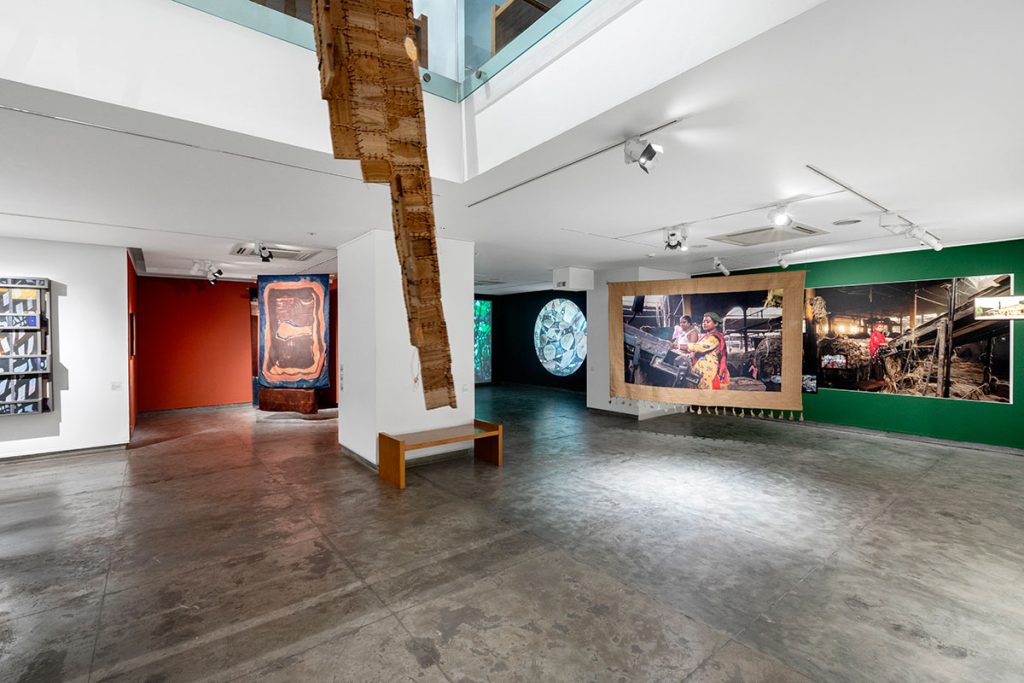 Installation shoots of Ancestral Futures