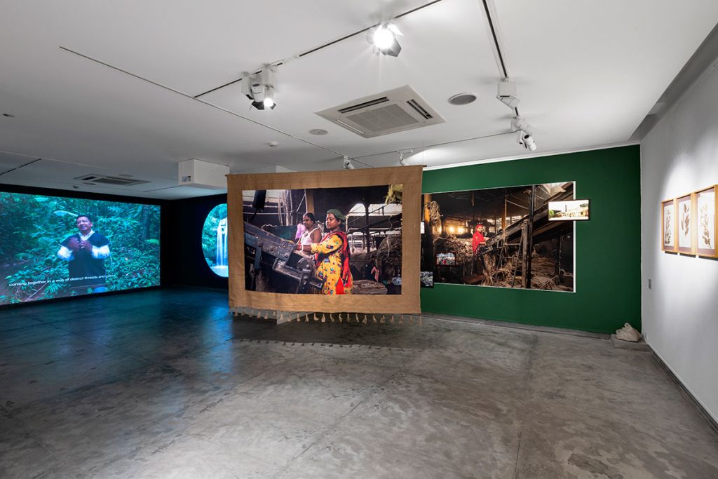 Installation shoots of Ancestral Futures