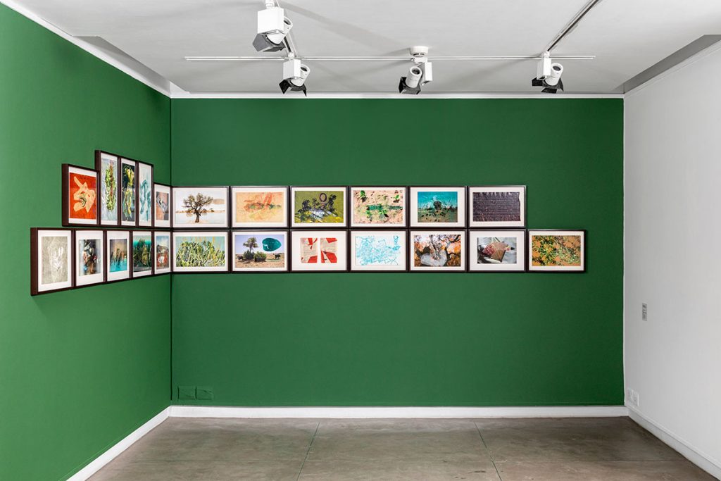 Installation shoots of Ancestral Futures