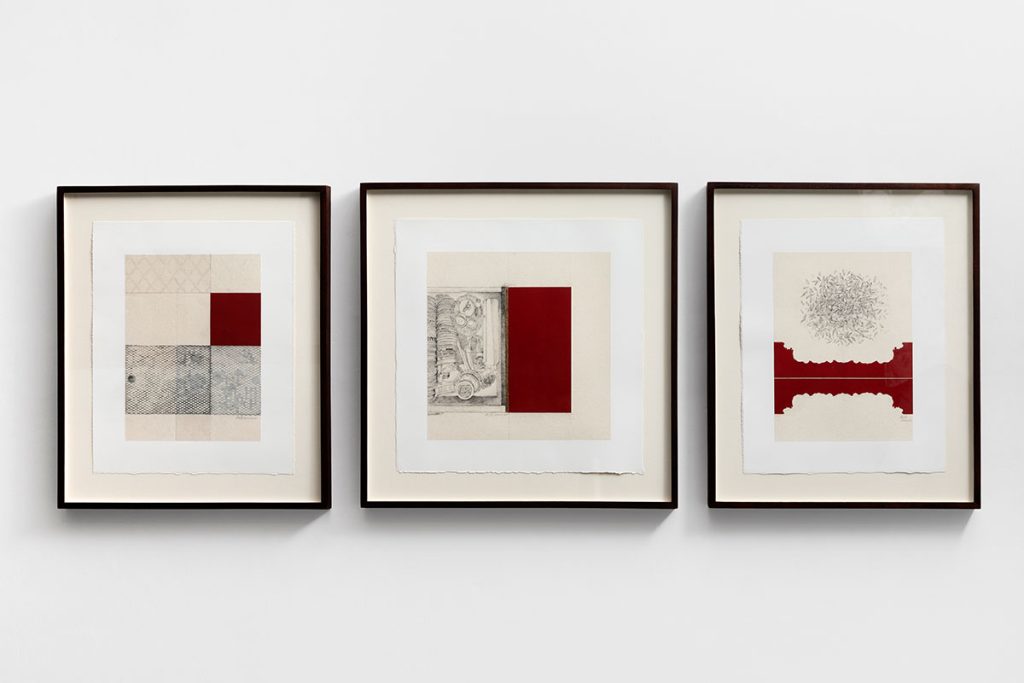 Installation shoots of Ancestral Futures