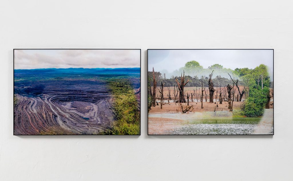 Installation shoots of Ancestral Futures