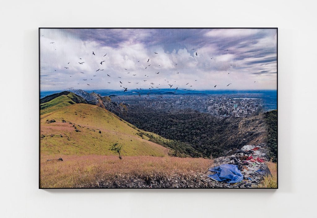 Installation shoots of Ancestral Futures