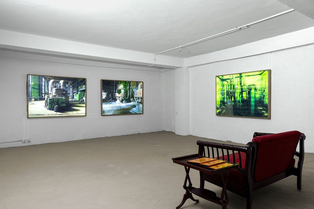 Installation shoots of Ancestral Futures