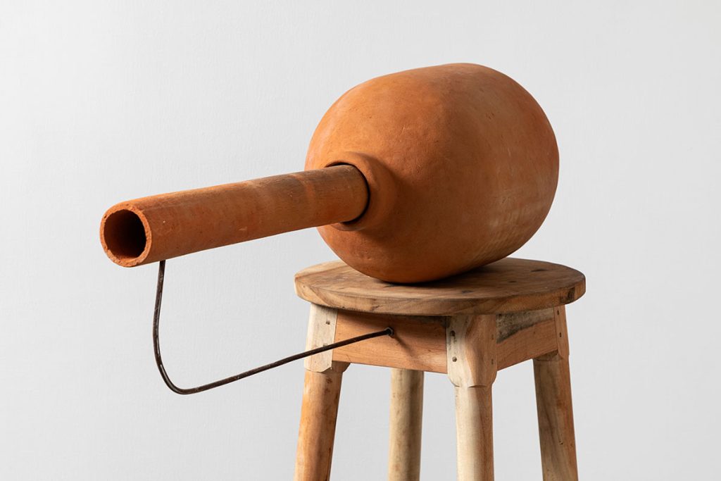 Installation shoots of Ancestral Futures