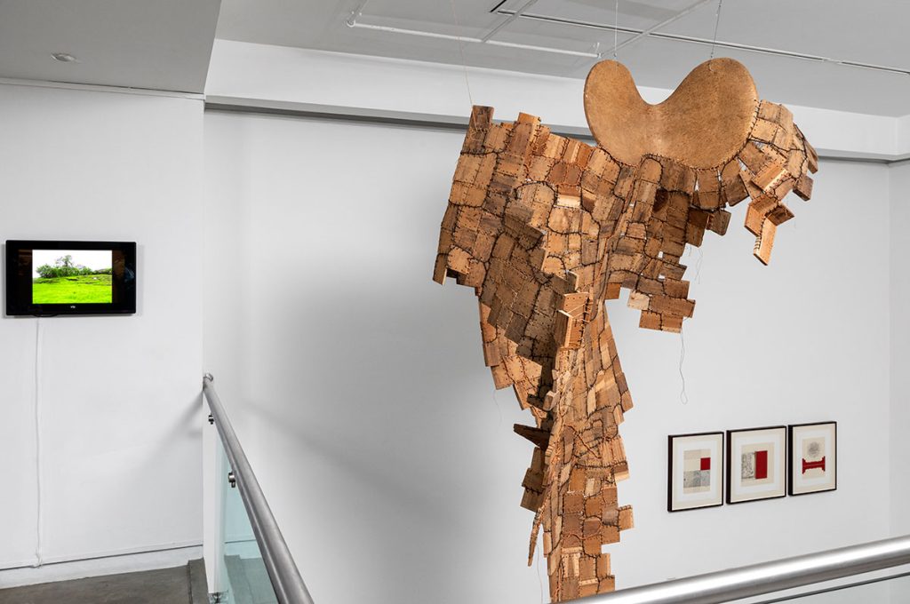 Installation shoots of Ancestral Futures