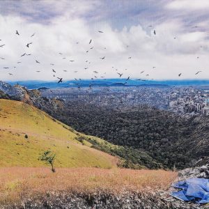 Landscapes-II-Arunkumar