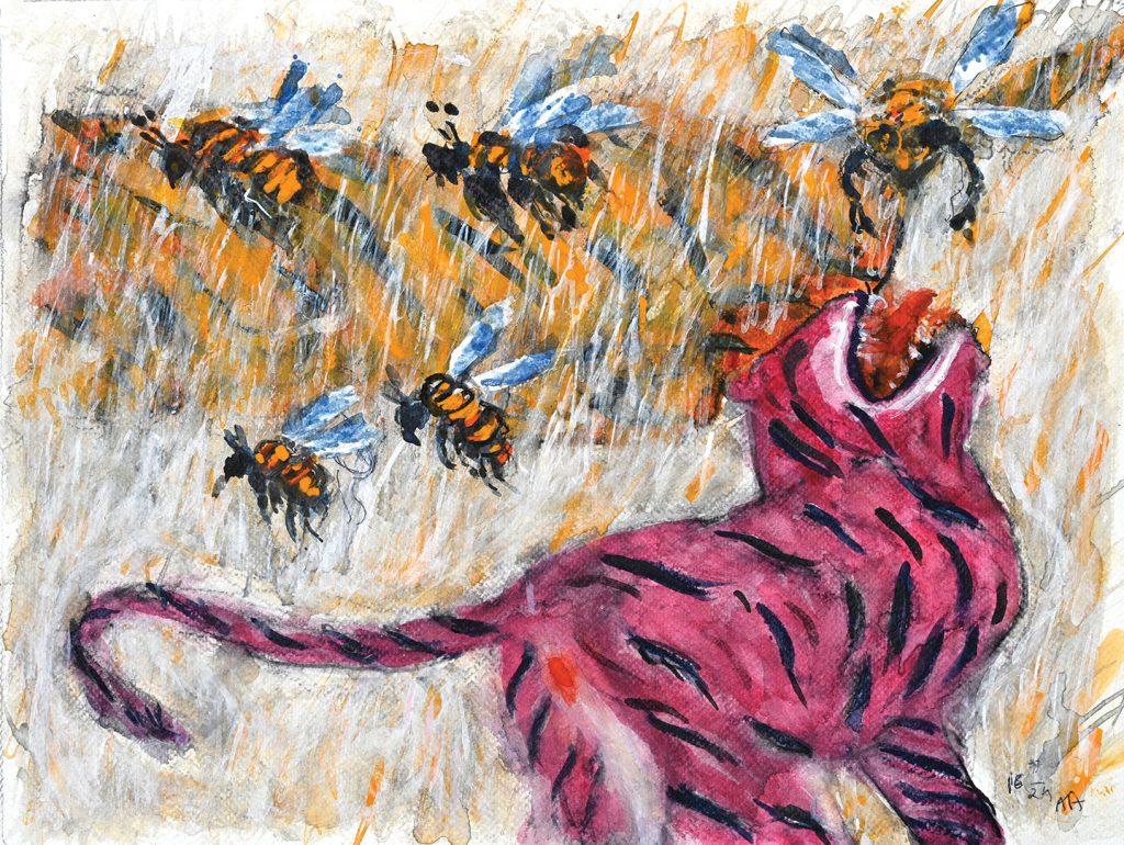 'Choopi-hain-kahan-Amit-Ambalal