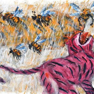 'Choopi-hain-kahan-Amit-Ambalal