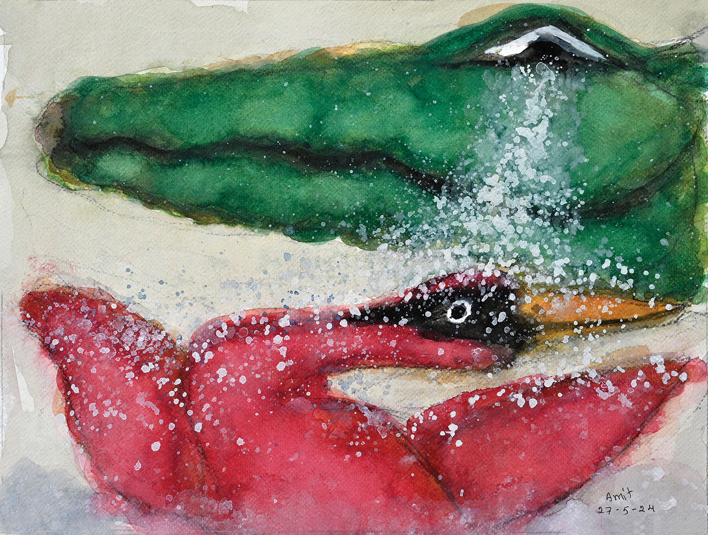 Crocodile-Tears-Amit-Ambalal