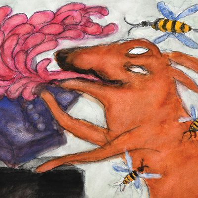 Dusky's-Deity-Amit-Ambalal