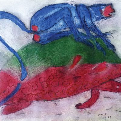 The-Joy-Ride-Amit-Ambalal