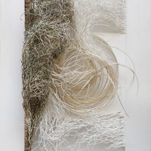 Harendra-Kushwaha-Rooted-Reverie II