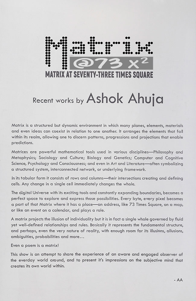 Installation shoots of Ashok Ahuja show