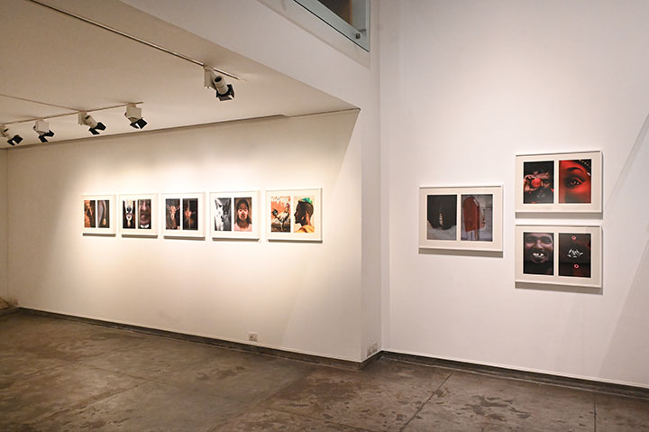 Installation Shoots of Shahid Datawala