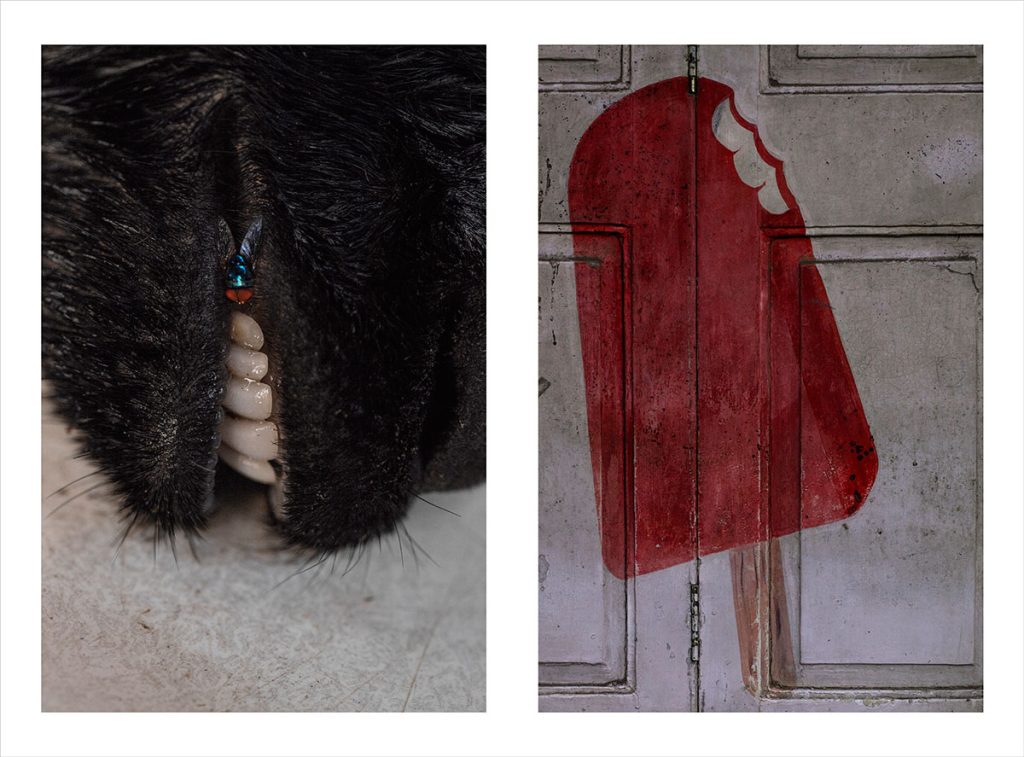 jhalak-Shahid-Datawala-11