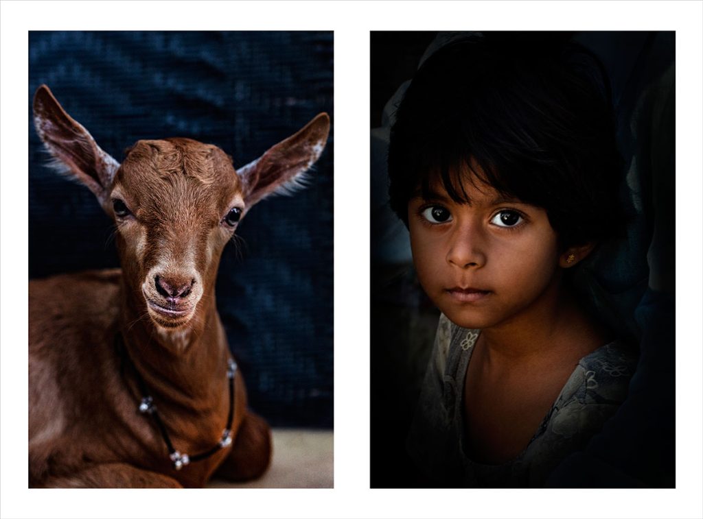 jhalak-Shahid-Datawala-41