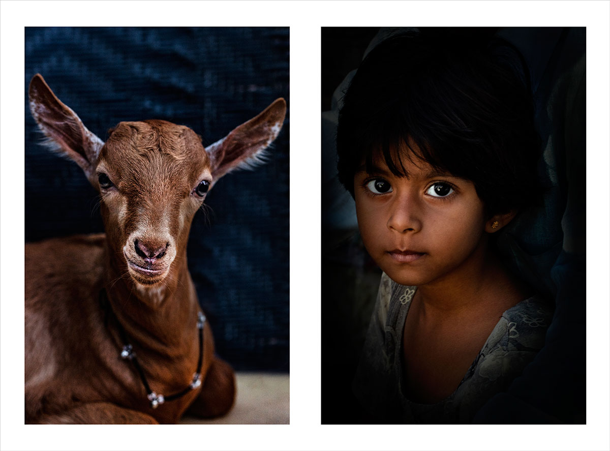 jhalak-Shahid-Datawala-41