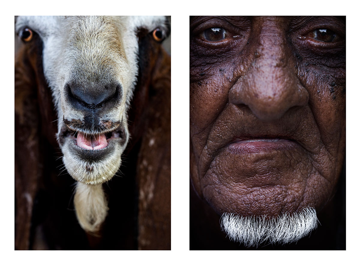 jhalak-Shahid-Datawala-42