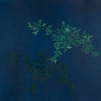 Ground-III-Rashmimala