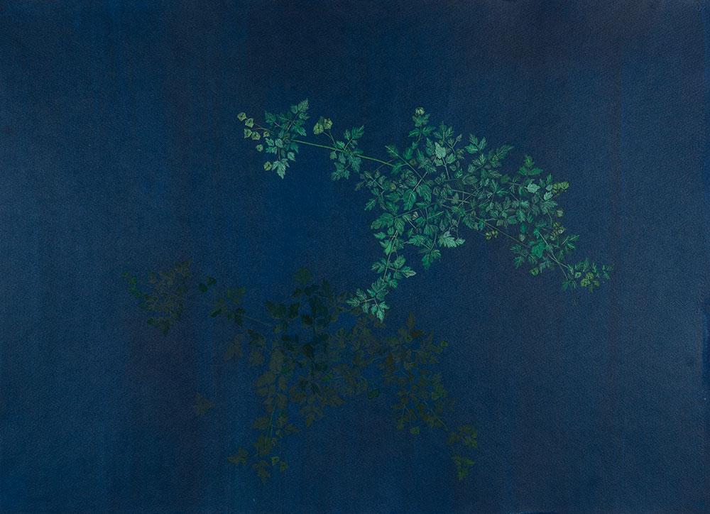 Ground-III-Rashmimala