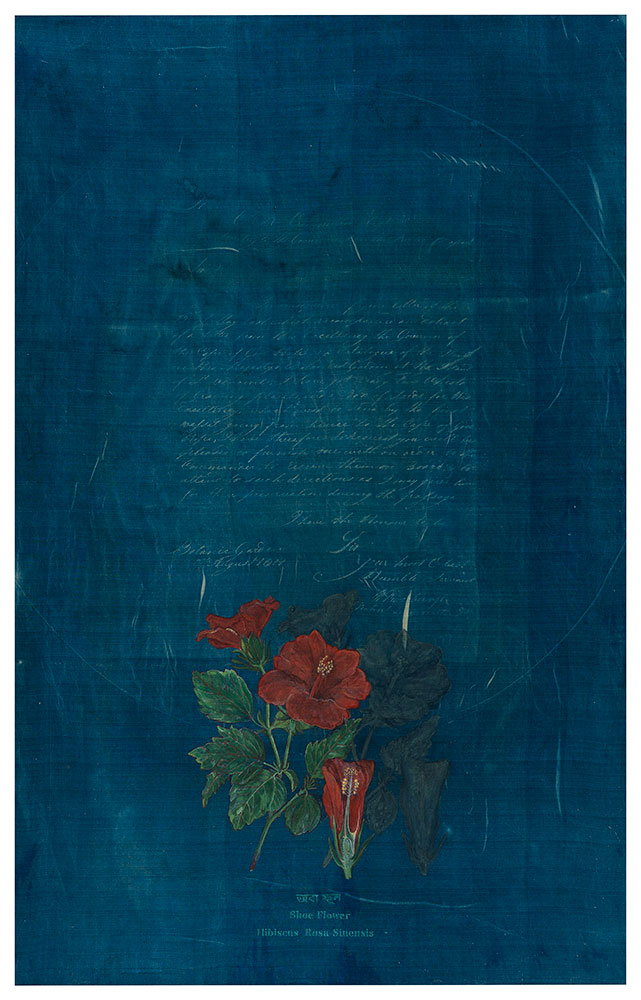 In-search-of--the-Missing-Rashimala