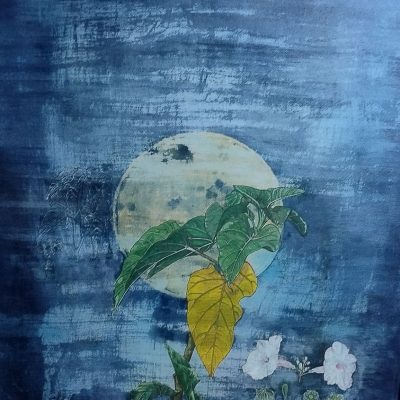 Ipomoea-carnea-Rashmimala