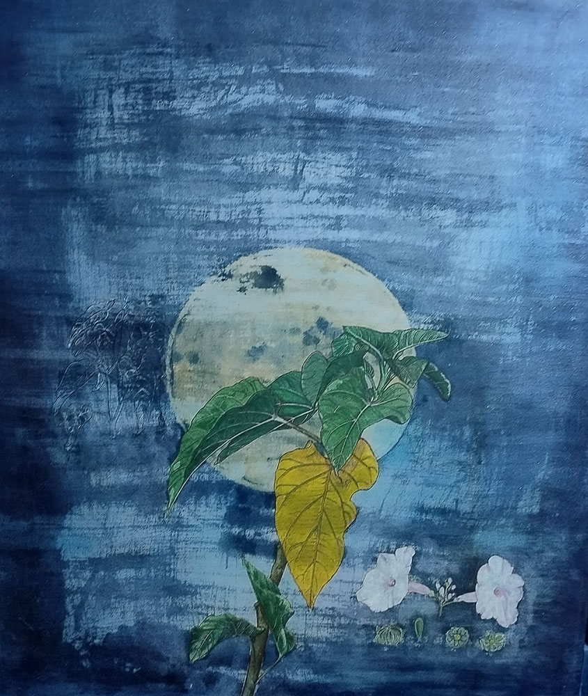 Ipomoea-carnea-Rashmimala